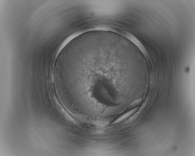 X0000090491436200707272331
