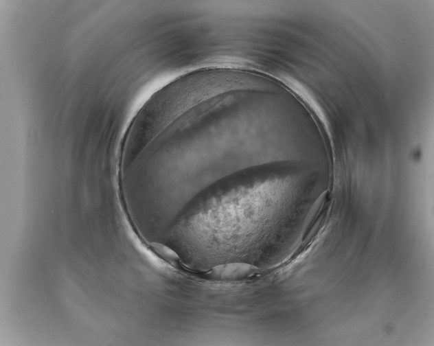 X0000090491437200707272331