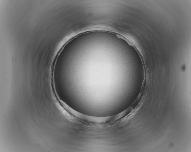 X0000090491438200707272331