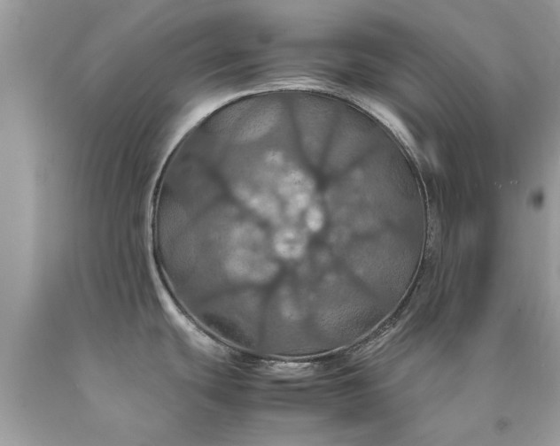 X0000090491439200707272331
