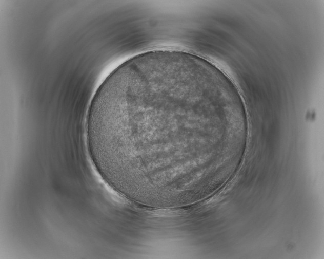 X0000090491440200707272331