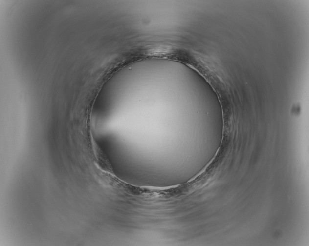 X0000090491441200707272330