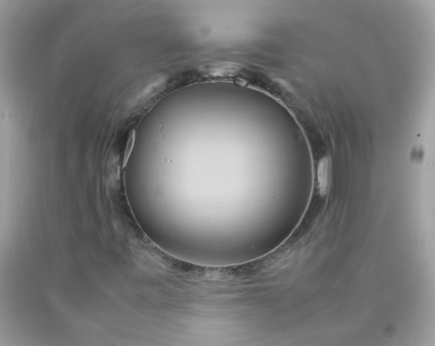 X0000090491443200707272330