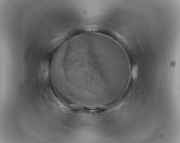 X0000090491444200707272330