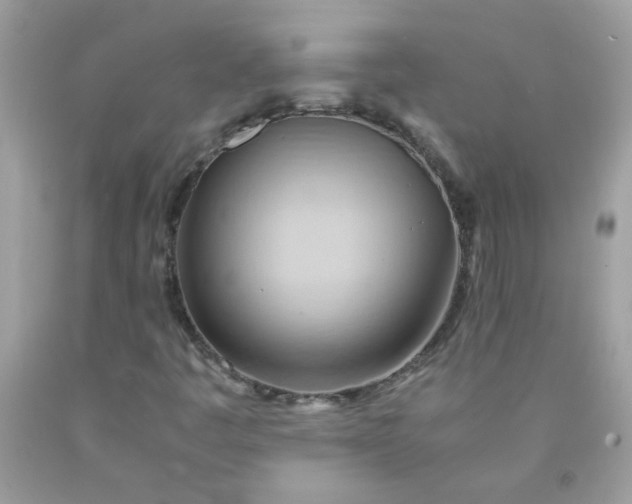 X0000090491445200707272330