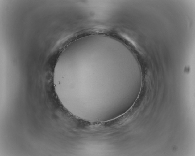 X0000090491447200707272330