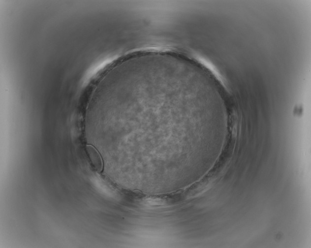 X0000090491448200707272330