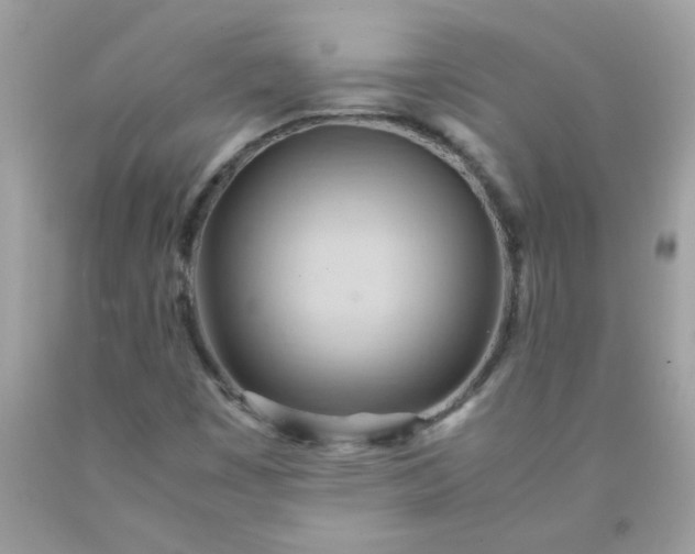 X0000090491449200707272330