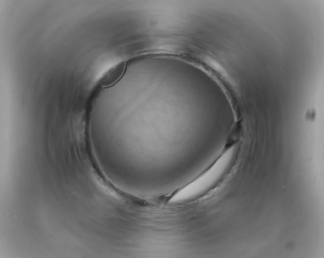 X0000090491450200707272330