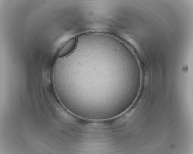 X0000090491451200707272330