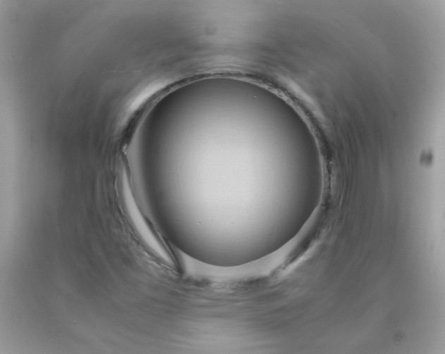 X0000090491453200707272330