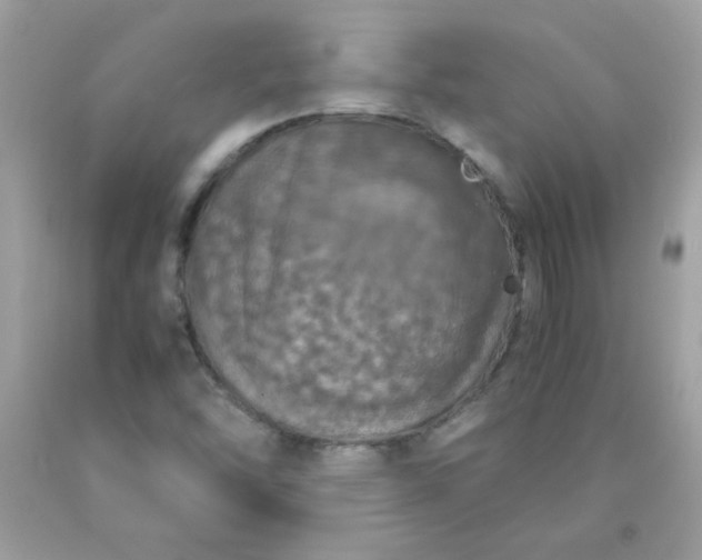 X0000090491454200707272330