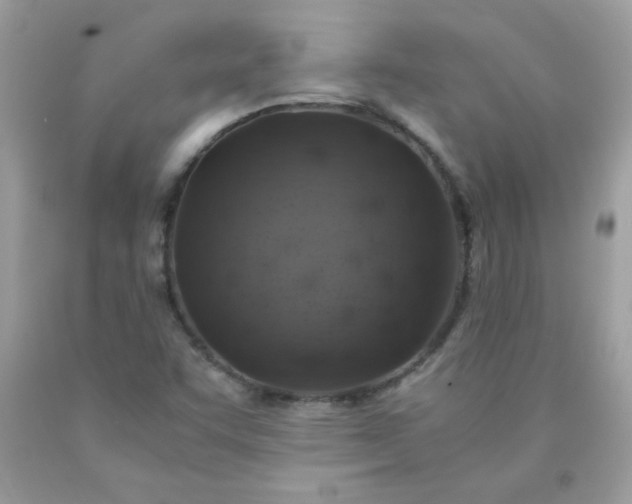 X0000090491455200707272330