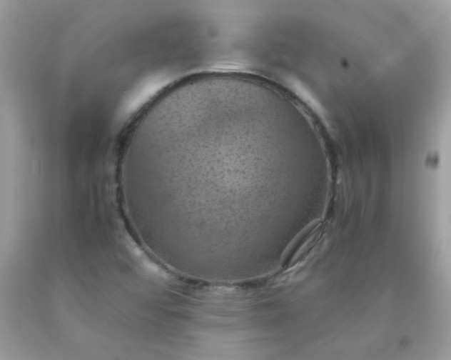 X0000090491456200707272330