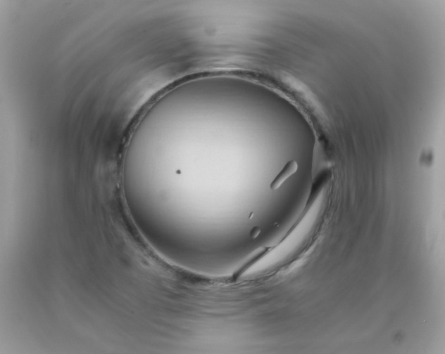 X0000090491457200707272330