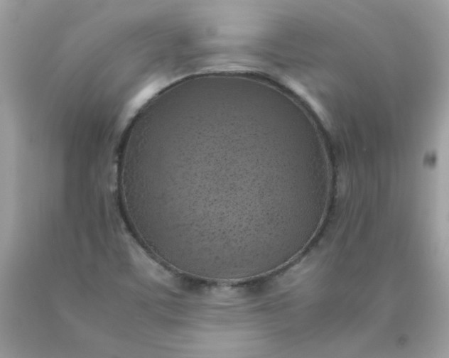 X0000090491459200707272330