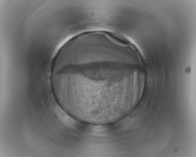 X0000090491460200707272330