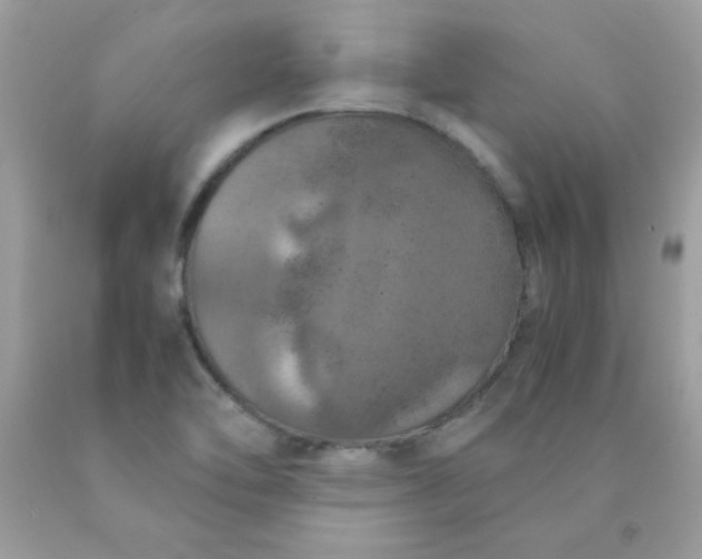 X0000090491462200707272330