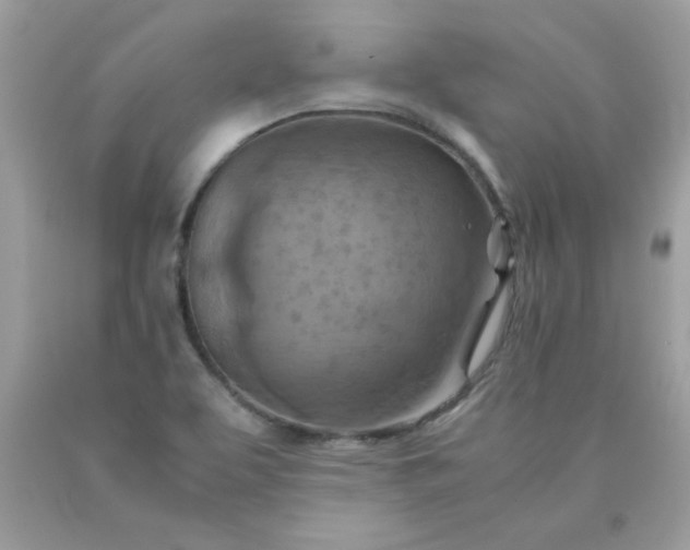 X0000090491463200707272330