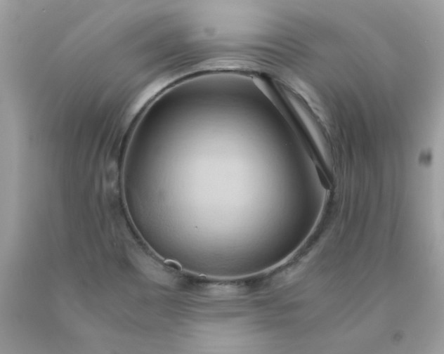 X0000090491465200707272330