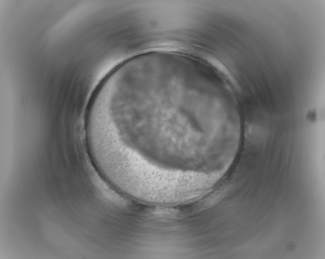 X0000090491466200707272330