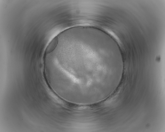 X0000090491467200707272330