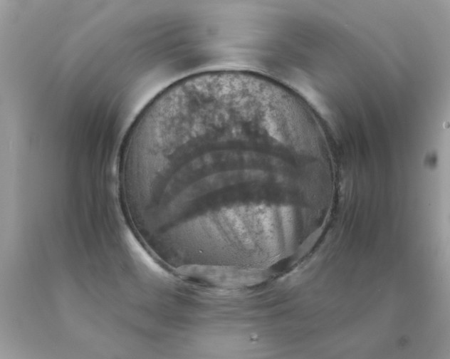 X0000090491468200707272330