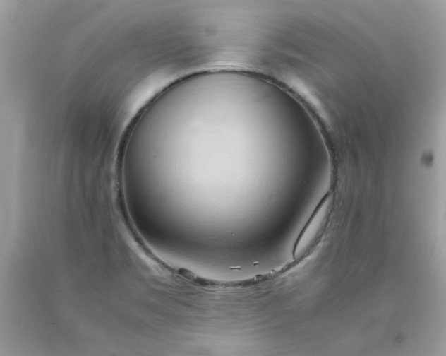 X0000090491469200707272330
