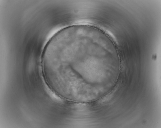 X0000090491470200707272330