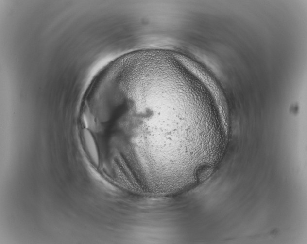 X0000090491471200707272330