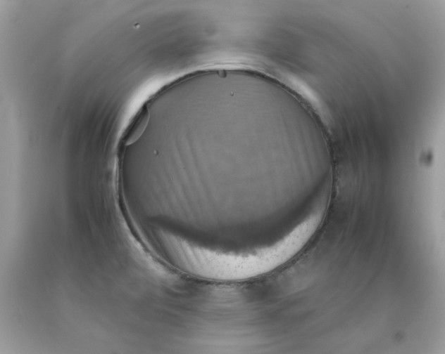 X0000090491472200707272330