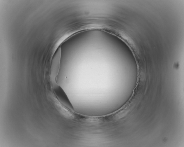 X0000090491473200707272330