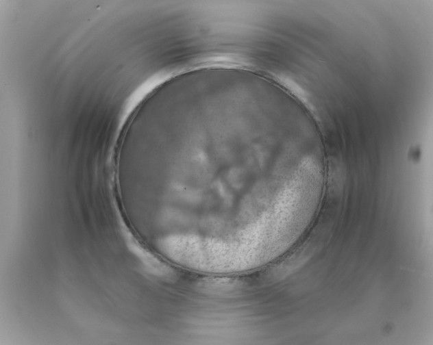 X0000090491474200707272330