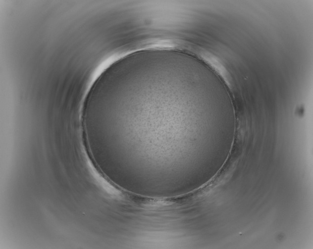 X0000090491475200707272330