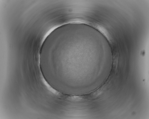 X0000090491476200707272330