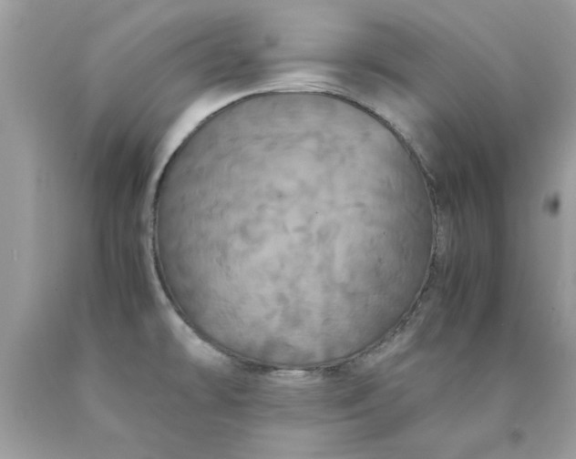 X0000090491478200707272330