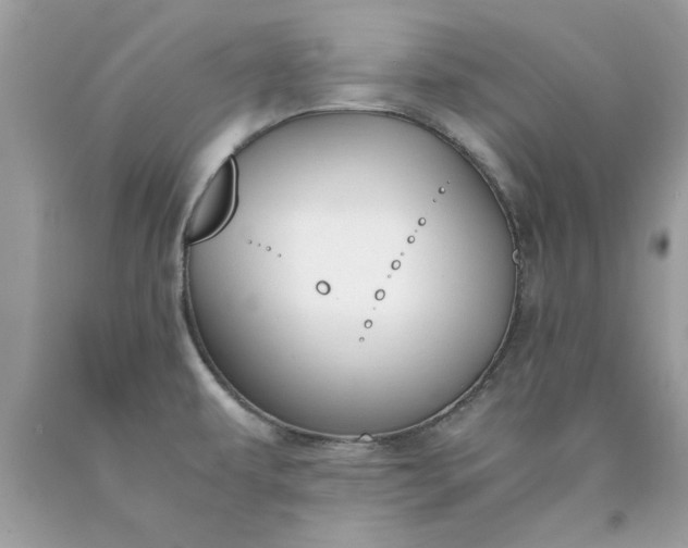 X0000090491479200707272330