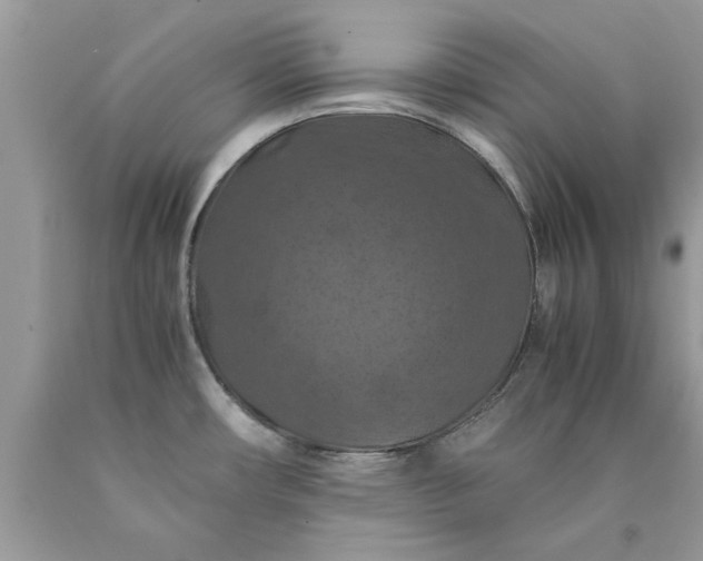 X0000090491482200707272330