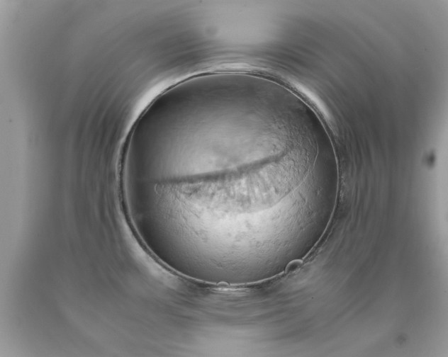 X0000090491483200707272330