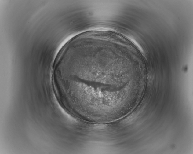 X0000090491484200707272330