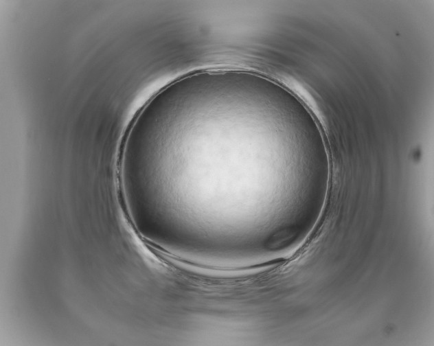 X0000090491485200707272330
