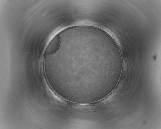 X0000090491486200707272330