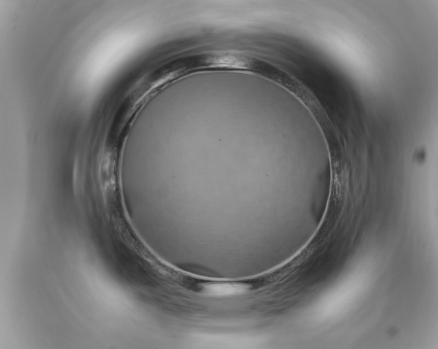 X0000090491487200707272330