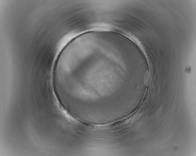 X0000090491488200707272330