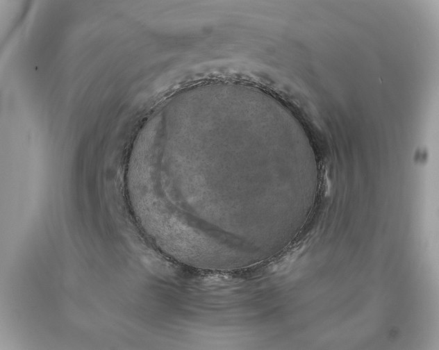X0000090491489200707272329