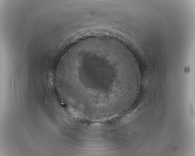 X0000090491490200707272329