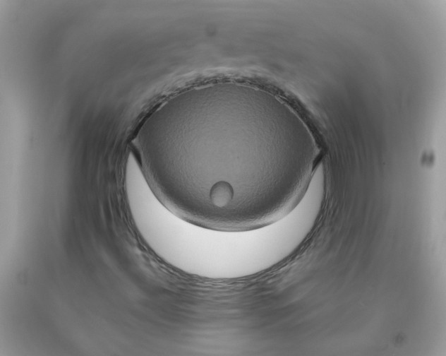 X0000090491492200707272329