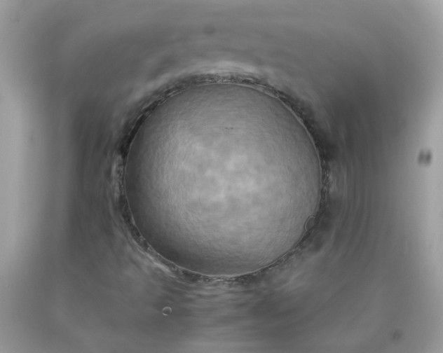 X0000090491493200707272329
