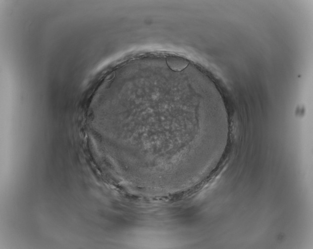 X0000090491494200707272329