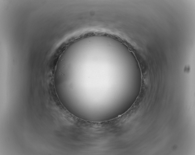 X0000090491495200707272329